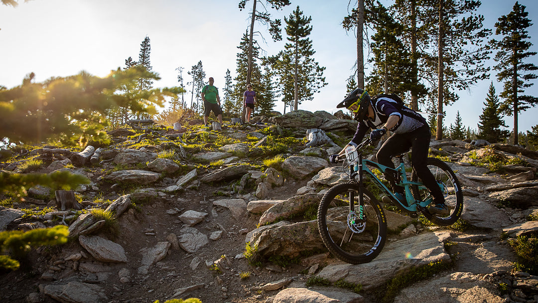 Downhill / Gravity Forks